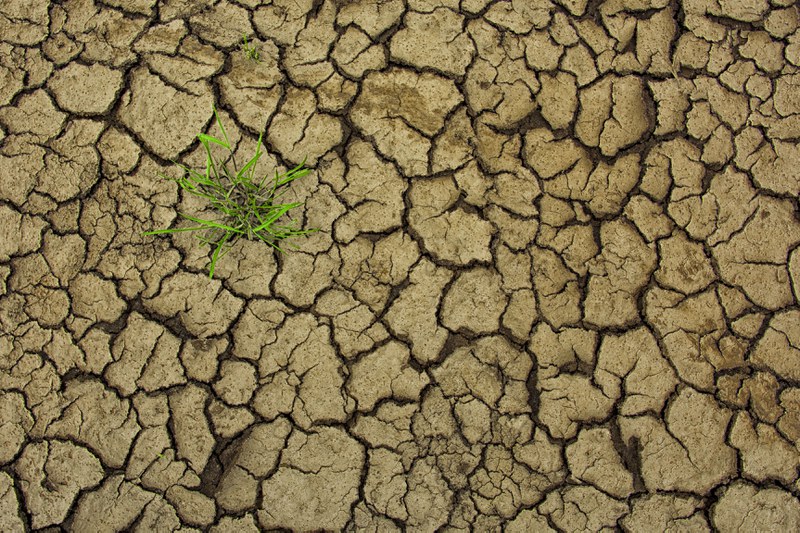 Agricultural drought