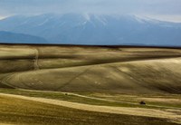 Subsidised drought insurance for farmers in Austria