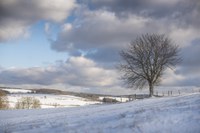 Adaptation in winter tourism in Spessart (Germany)