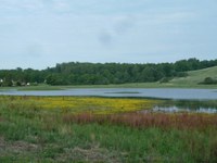 Adapting agriculture to wetter and drier climates: the Tullstorp stream Project (Sweden)