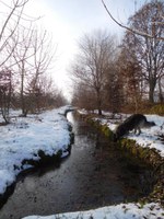 Bosco Limite - A participatory strategy of water saving and aquifer artificial recharge in Northern Italy