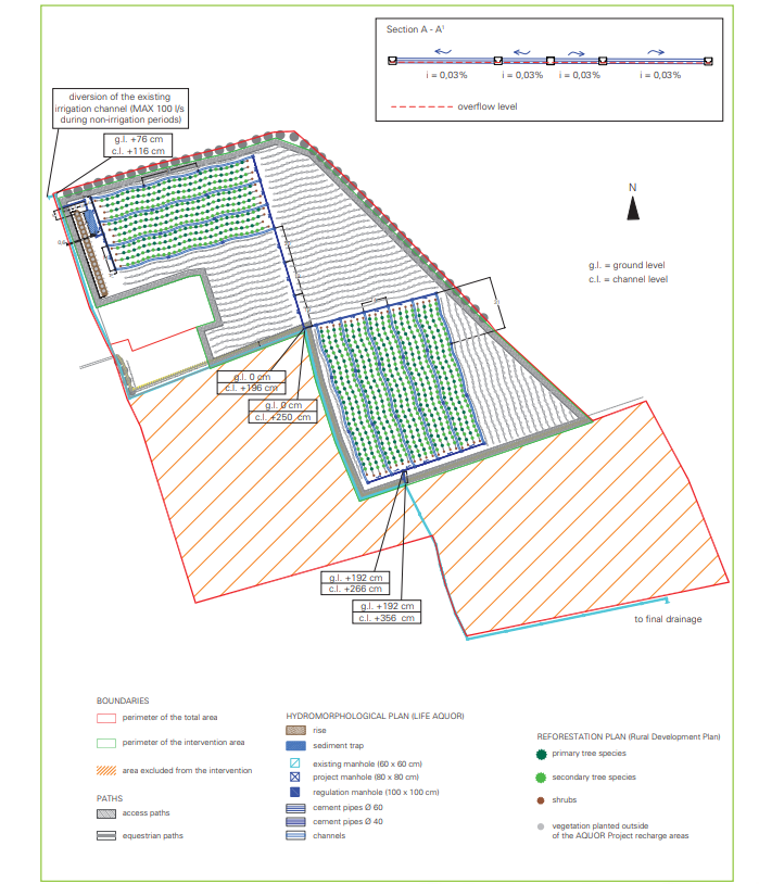 Bosco Limite Project planimetry