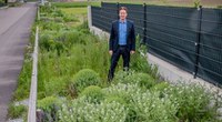 Environment-friendly urban street design for decentralized ecological rainwater management in Ober-Grafendorf, Lower Austria