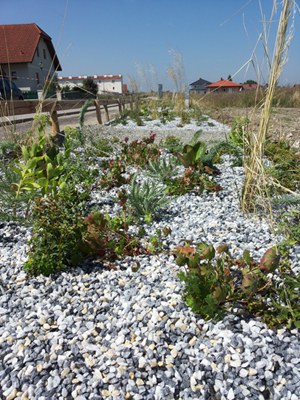 “Eco-Street” (DrainGarden®) in the municipality Ober-Grafendor