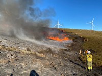 Prescribed fire and grazing as integrated approach to make forests climate resilient in Viseu Dão Lafões, Portugal