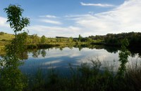 Tamera water retention landscape to restore the water cycle and reduce vulnerability to droughts